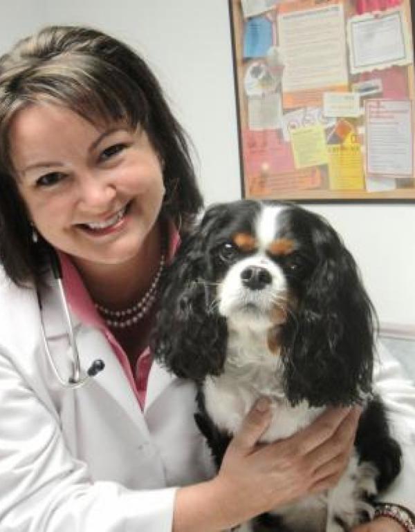 4 Paws Veterinary Care Wynantskill, NY